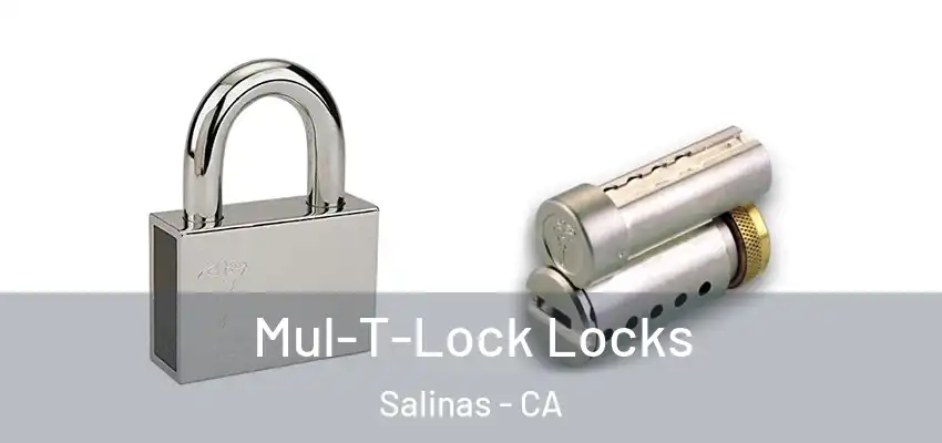  Mul-T-Lock Locks Salinas - CA